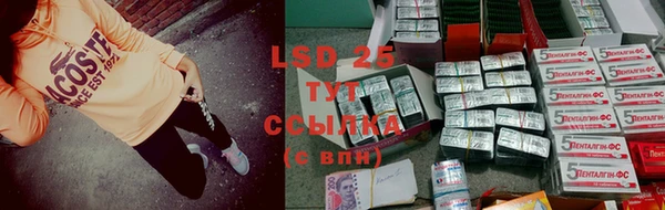 стафф Беломорск