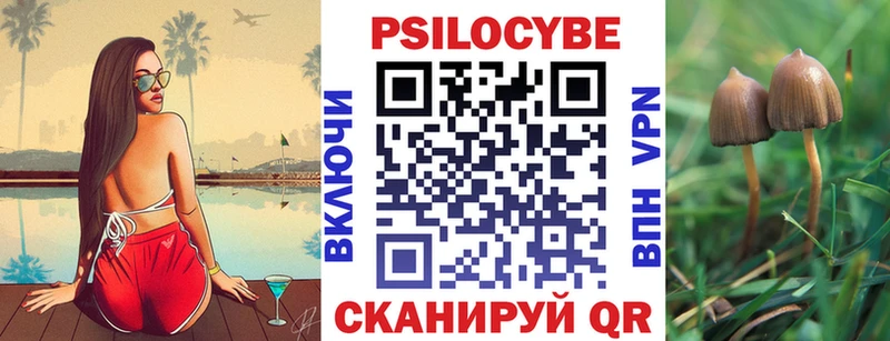 Псилоцибиновые грибы Psilocybine cubensis  Верхнеуральск 