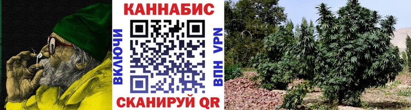 сайты даркнета какой сайт  Верхнеуральск  Бошки Шишки SATIVA & INDICA 